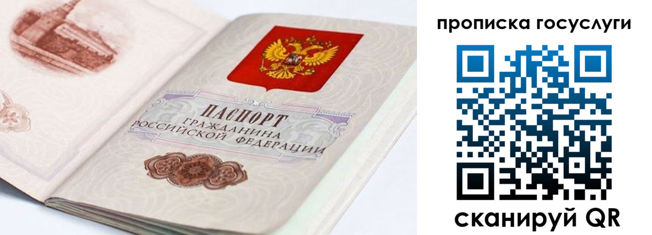 прописка гарантия в Новосибирской области